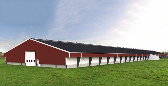 borga_steel_buildings_agrocultural_chicken-stable_slide1