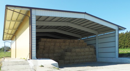Senik1-1-1200x660